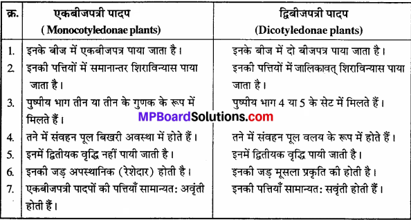 MP Board Class 11th Biology Solutions Chapter 3 वनस्पति जगत - 3