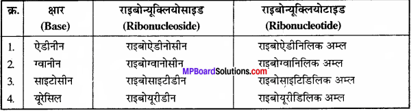 MP Board Class 11th Biology Solutions Chapter 9 जैव अणु - 20