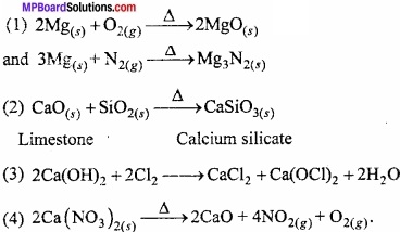 MP Board Class 11th Chemistry Important Questions Chapter 10 s - Block Elements abc