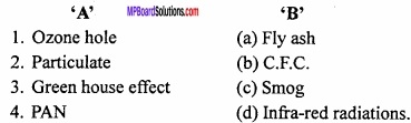 MP Board Class 11th Chemistry Important Questions Chapter 14 Environmental Chemistry img 3