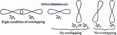 MP Board Class 11th Chemistry Important Questions Chapter 4 Chemical Bonding and Molecular Structure img 17