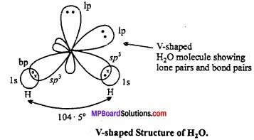 MP Board Class 11th Chemistry Important Questions Chapter 4 Chemical Bonding and Molecular Structure img 24