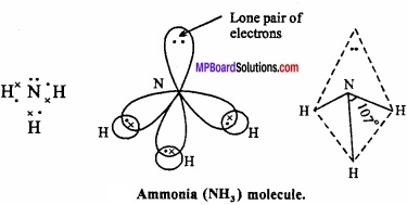 MP Board Class 11th Chemistry Important Questions Chapter 4 Chemical Bonding and Molecular Structure img 25