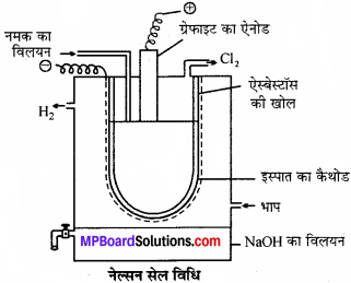 MP Board Class 11th Chemistry Solutions Chapter 10 s-ब्लॉक तत्त्व - 38