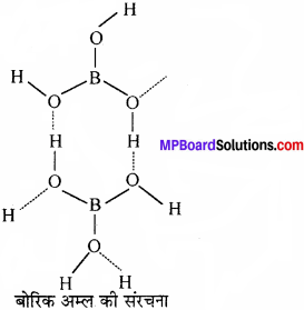 MP Board Class 11th Chemistry Solutions Chapter 11 p-ब्लॉक तत्त्व - 17