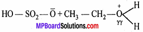 MP Board Class 11th Chemistry Solutions Chapter 13 हाइड्रोकार्बन - 15