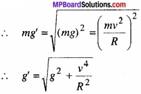MP Board Class 11th Physics Solutions Chapter 14 दोलन img 12