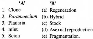 MP Board Class 12th Biology Important Questions Chapter 1 Reproduction in Organisms 2