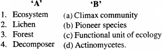 MP Board Class 12th Biology Important Questions Chapter 14 Ecosystem 2