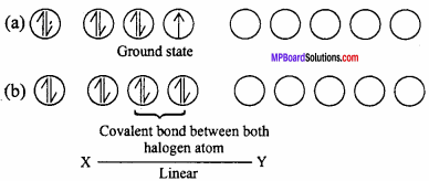 MP Board Class 12th Chemistry Important Questions Chapter 7 The p-Block Elements 15