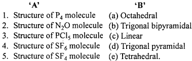 MP Board Class 12th Chemistry Important Questions Chapter 7 The p-Block Elements 2
