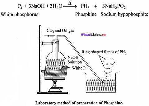 MP Board Class 12th Chemistry Important Questions Chapter 7 The p-Block Elements 24