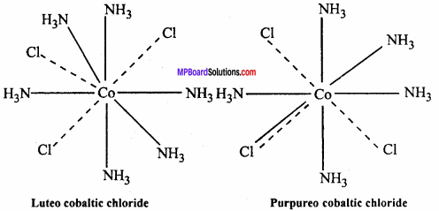 MP Board Class 12th Chemistry Important Questions Chapter 9 Coordination Compounds 19