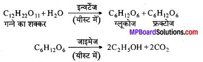 MP Board Class 12th Chemistry Solutions Chapter 11 ऐल्कोहॉल, फीनॉल तथा ईथर - 123