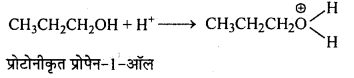 MP Board Class 12th Chemistry Solutions Chapter 11 ऐल्कोहॉल, फीनॉल तथा ईथर - 65