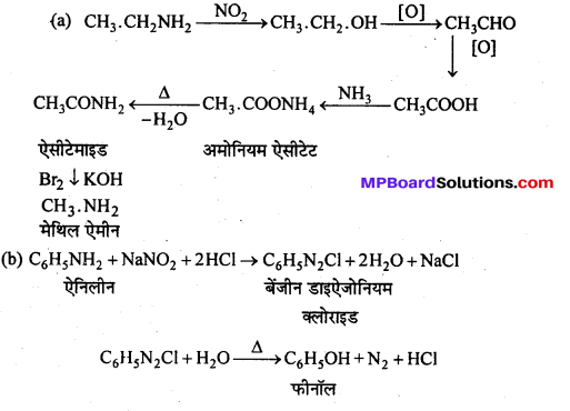 MP Board Class 12th Chemistry Solutions Chapter 13 ऐमीन - 101