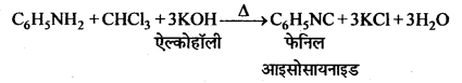 MP Board Class 12th Chemistry Solutions Chapter 13 ऐमीन - 112
