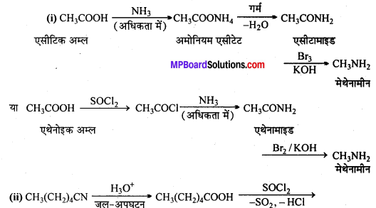 MP Board Class 12th Chemistry Solutions Chapter 13 ऐमीन - 22