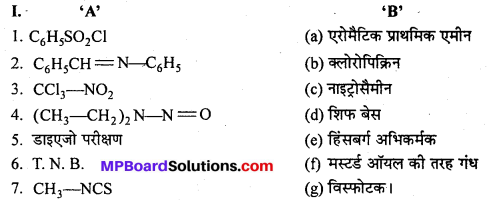 MP Board Class 12th Chemistry Solutions Chapter 13 ऐमीन - 66