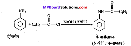 MP Board Class 12th Chemistry Solutions Chapter 13 ऐमीन - 8