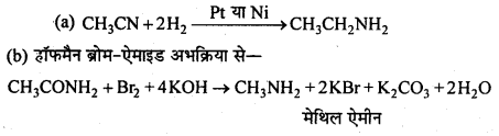 MP Board Class 12th Chemistry Solutions Chapter 13 ऐमीन - 91