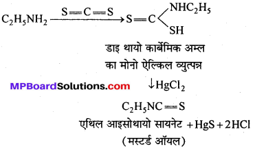 MP Board Class 12th Chemistry Solutions Chapter 13 ऐमीन - 95