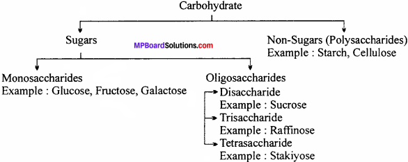 MP Board Class 12th Chemistry Solutions Chapter 14 Biomolecules - 28