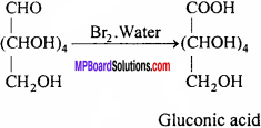 MP Board Class 12th Chemistry Solutions Chapter 14 Biomolecules - 8