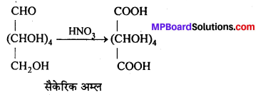 MP Board Class 12th Chemistry Solutions Chapter 14 जैव-अणु - 10