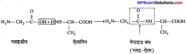 MP Board Class 12th Chemistry Solutions Chapter 14 जैव-अणु - 11