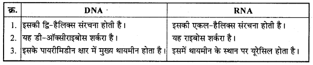 MP Board Class 12th Chemistry Solutions Chapter 14 जैव-अणु - 16