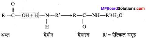 MP Board Class 12th Chemistry Solutions Chapter 14 जैव-अणु - 19