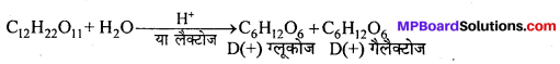 MP Board Class 12th Chemistry Solutions Chapter 14 जैव-अणु - 2