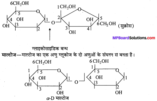 MP Board Class 12th Chemistry Solutions Chapter 14 जैव-अणु - 22