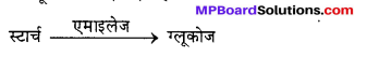 MP Board Class 12th Chemistry Solutions Chapter 14 जैव-अणु - 26