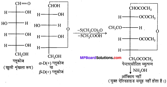 MP Board Class 12th Chemistry Solutions Chapter 14 जैव-अणु - 3