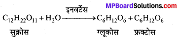 MP Board Class 12th Chemistry Solutions Chapter 14 जैव-अणु - 32