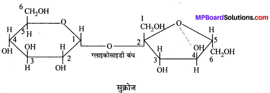 MP Board Class 12th Chemistry Solutions Chapter 14 जैव-अणु - 5