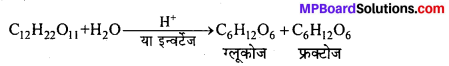 MP Board Class 12th Chemistry Solutions Chapter 14 जैव-अणु - 6