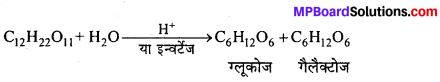 MP Board Class 12th Chemistry Solutions Chapter 14 जैव-अणु - 7
