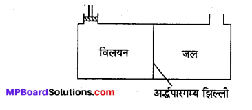 MP Board Class 12th Chemistry Solutions Chapter 2 विलयन - 50