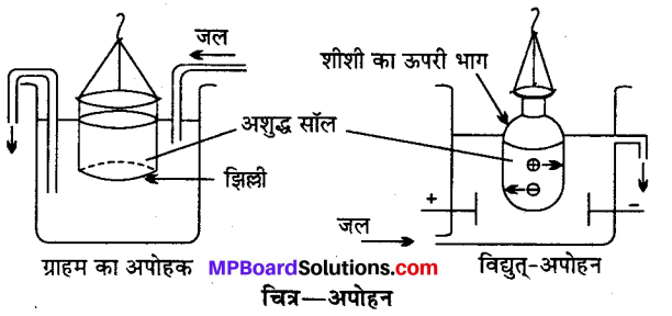 MP Board Class 12th Chemistry Solutions Chapter 5 पृष्ठ रसायन - 30