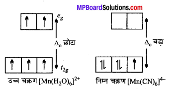 MP Board Class 12th Chemistry Solutions Chapter 9 उपसहसंयोजन यौगिक - 9