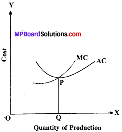 MP Board Class 12th Economics Important Questions Unit 3 Producer Behaviour And Supply img-22