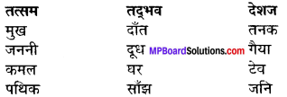 Sur Ke Balkrishna Summary In Hindi MP Board