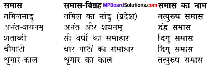 MP Board Class 12th Hindi Makrand Solutions Chapter 16 दक्षिण भारत की एक झलक img-2