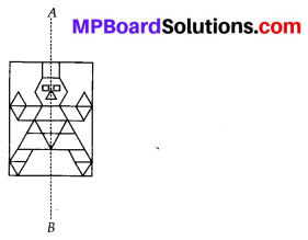 MP Board Class 6th Maths Solutions Chapter 13 Symmetry Ex 13.2 6