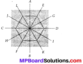 MP Board Class 6th Maths Solutions Chapter 13 Symmetry Ex 13.2 8