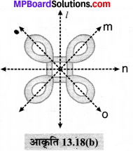 MP Board Class 6th Maths Solutions Chapter 13 सममिति Ex 13.2 image 2