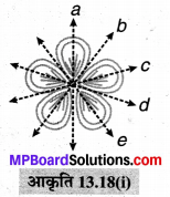 MP Board Class 6th Maths Solutions Chapter 13 सममिति Ex 13.2 image 9